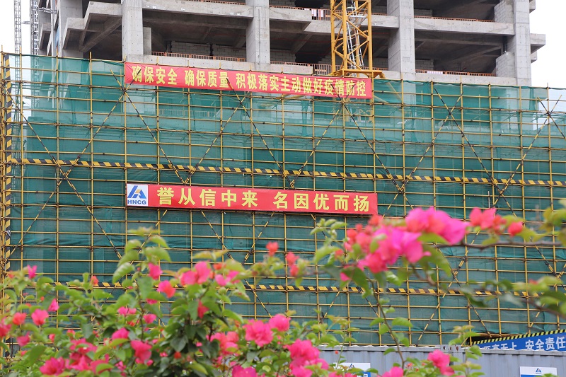 覆土种植三角梅 (2).jpg