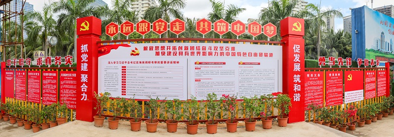 发挥党建引领作用，以高质量党建推动项目高质量建设.jpg
