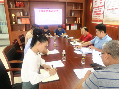 海南七建党委召开党委理论学习中心组81.png
