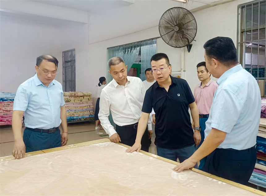 省营商环境建设厅副厅长程津庆莅临椰海毛纺公司调研.jpg