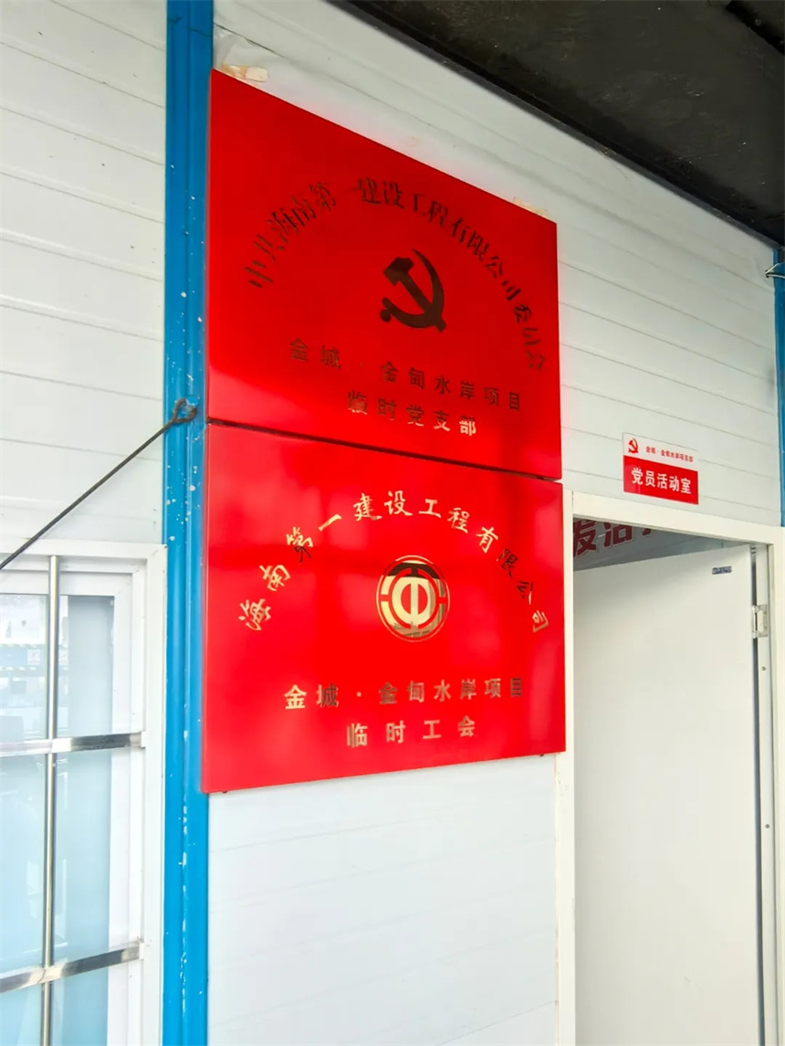 项目临时党支部揭牌成立.webp.jpg