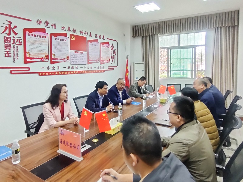 调研组实地检查调研并在现场指导部署复工复产工作（3）.jpg