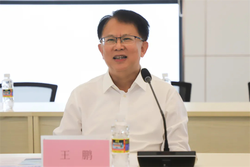 王鹏.jpg