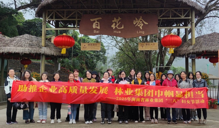 林业集团.jpg